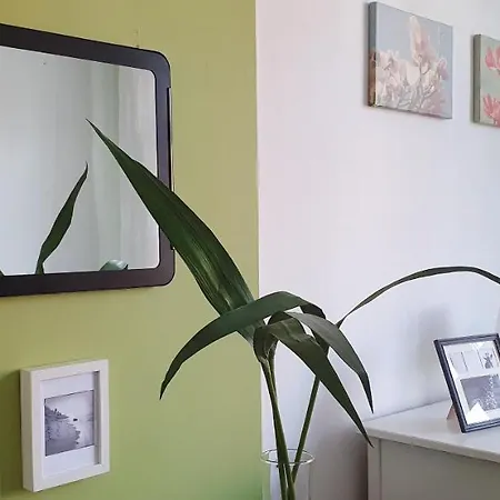 Homestay Chopin Street Private Katowice
